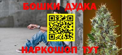 наркотики Сланцы