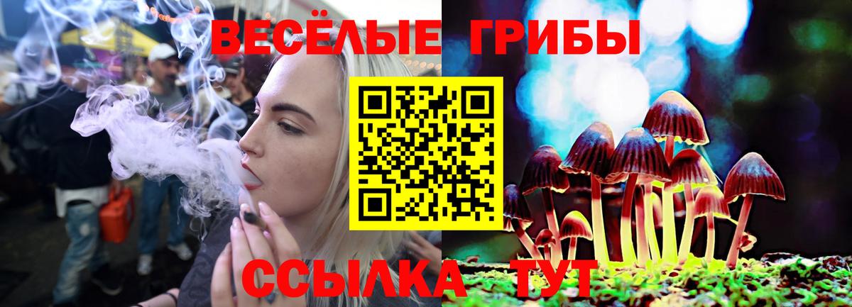 Галлюциногенные грибы Psilocybe  Псилоцибиновые грибы Psilocybine cubensis  Вход с VPN  Электрогорск 